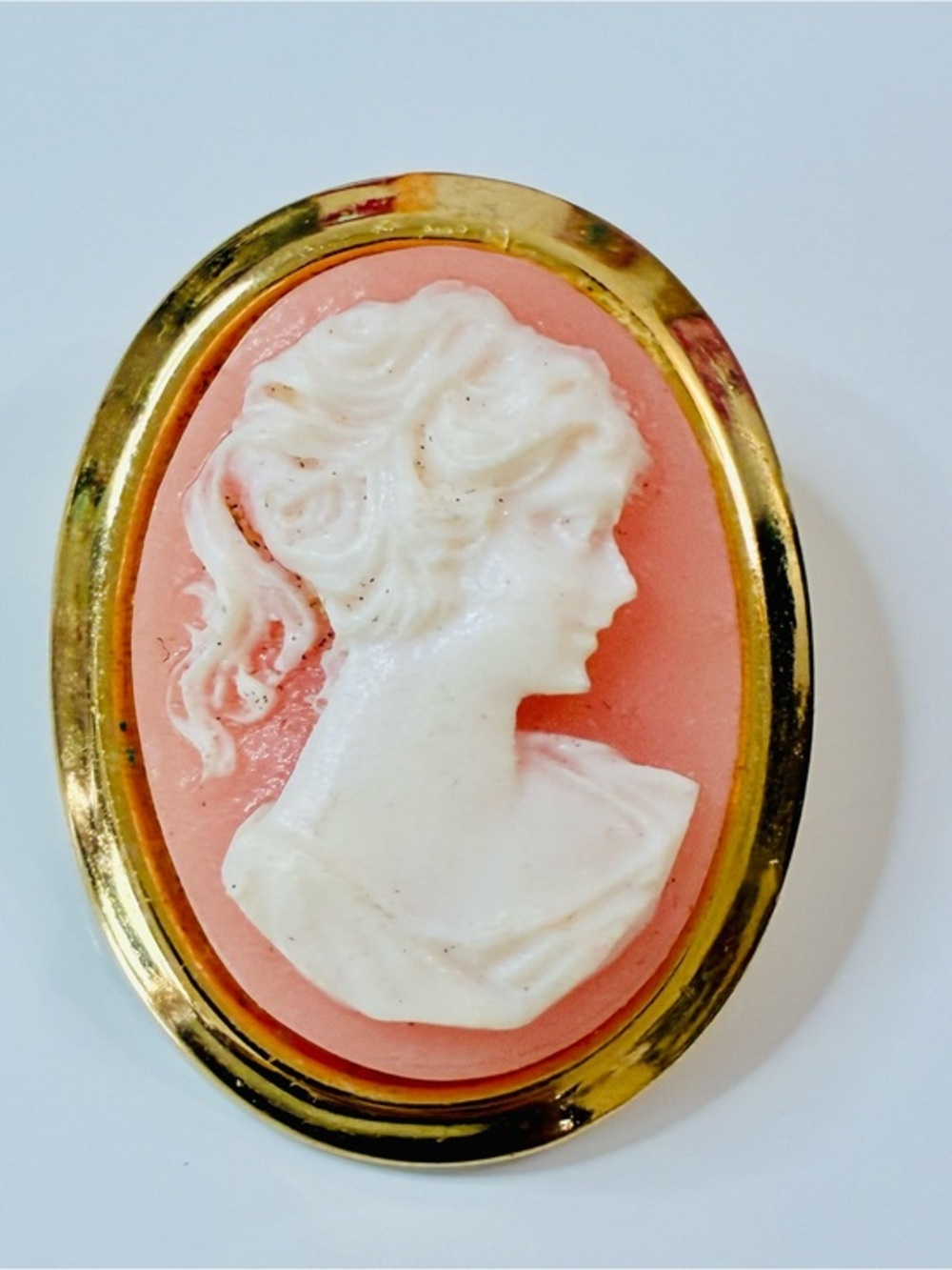 VTG Classic Pink Cameo Brooch with Gold Frame Whimsical Trending Victorian Chic